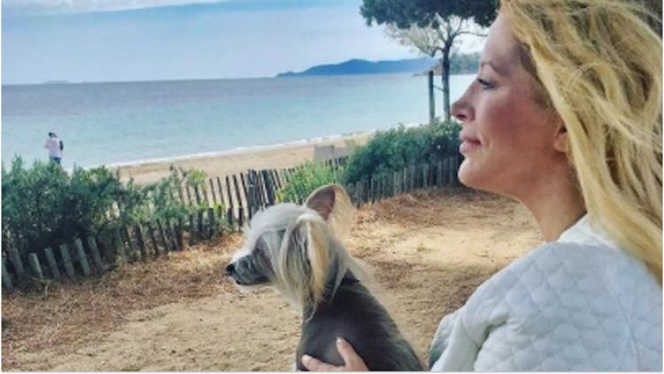 Disparition de Loana : on sait ce qu'est devenu son chien Titi