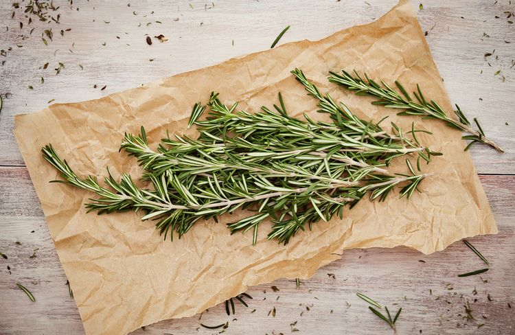 Le romarin, l’allié naturel pour assainir et protéger sa maison