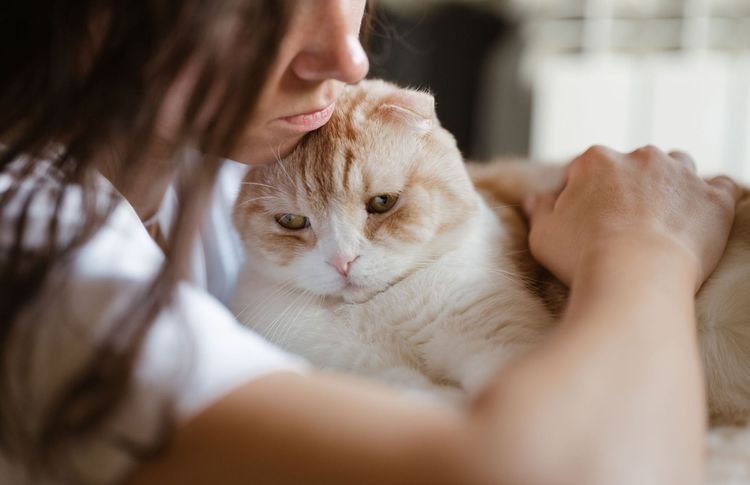 Animaux de compagnie : ce que votre style d’attachement révèle de votre santé mentale