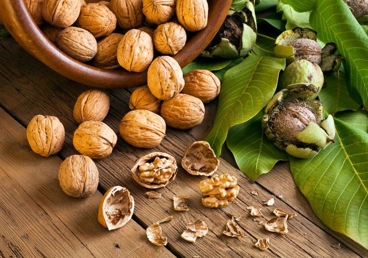 Quels sont les aliments qui renforcent le microbiote ?