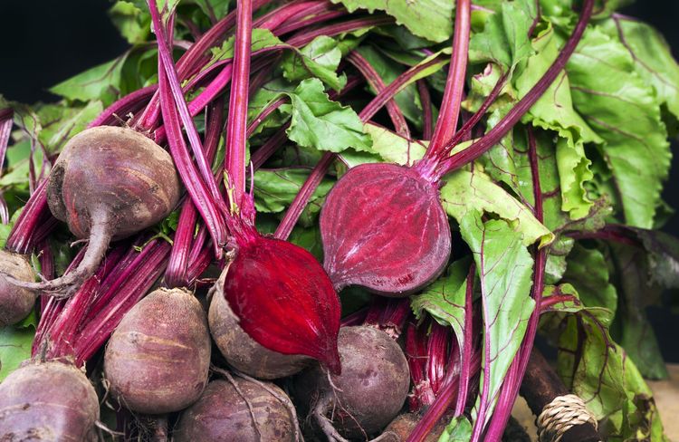 Cultiver les betteraves rouges presque toute l’année au potager