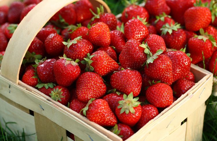 Comment bien choisir les fraises ?