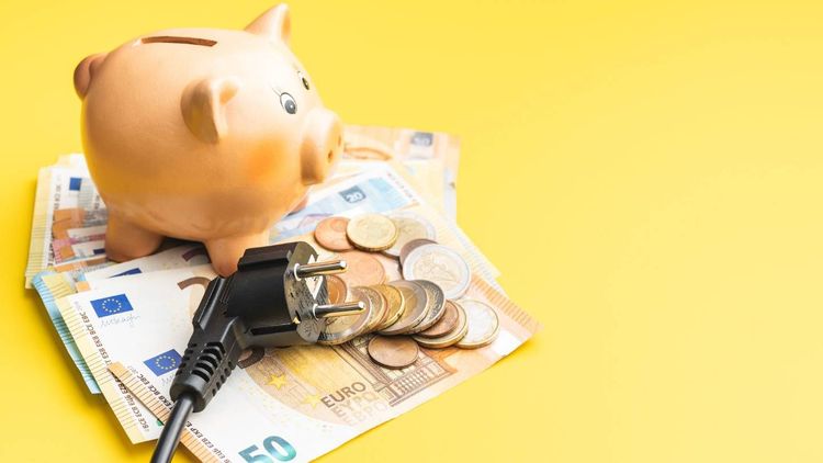 Electricité : quelles sont les offres les moins chères après la baisse du tarif réglementé d'EDF ?