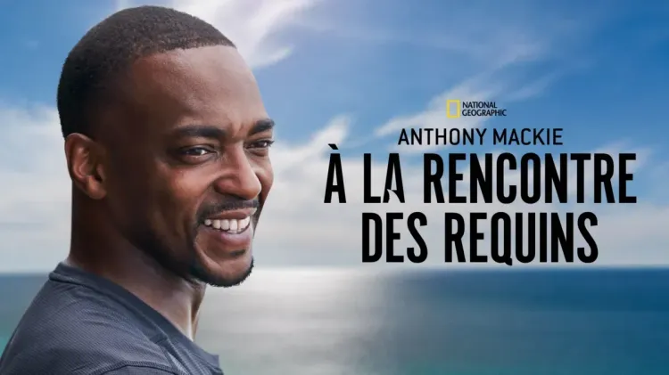 Les nouveautés films du mois de juillet sur Disney+