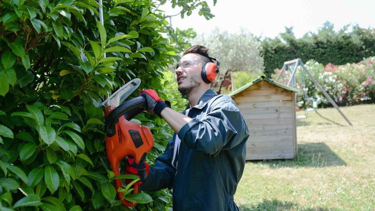 Impôt sur le revenu 2025 : la case qui peut vous rapporter gros si vous avez un jardin