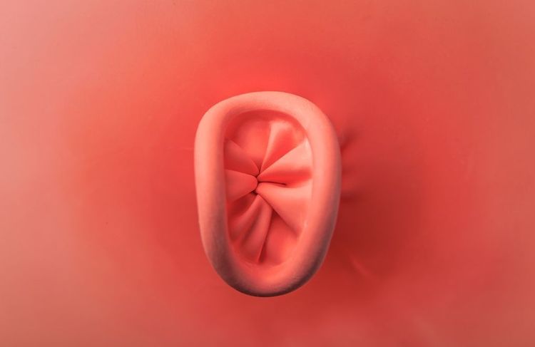 Sexe anal : voici combien d’hommes ont déjà été pénétrés (et c’est plus qu’on ne le pense)