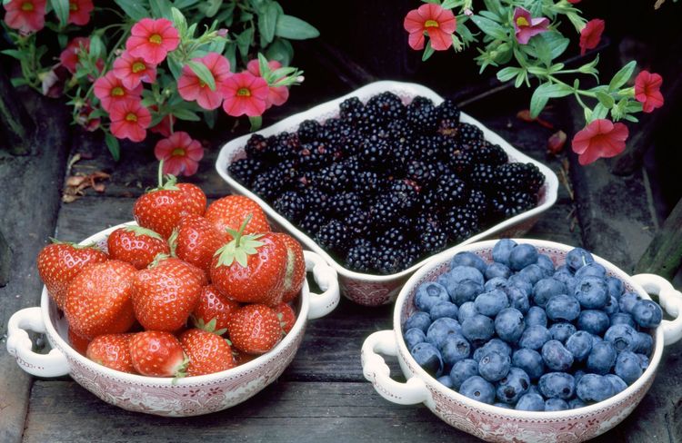 Cortisol : 6 aliments qui font baisser son taux, pour moins de stress, et un esprit apaisé