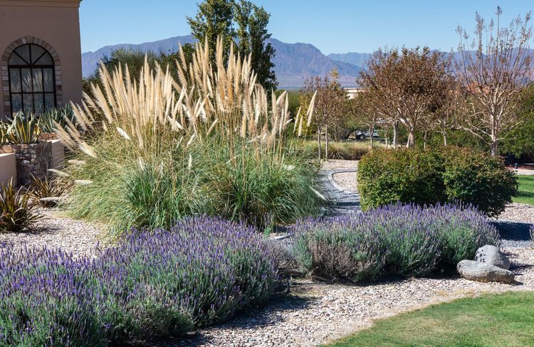 Comment aménager un jardin sec ?
