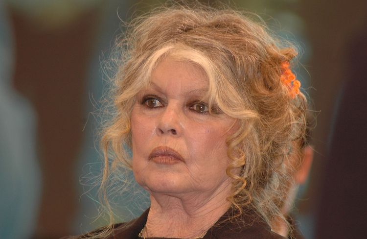 Brigitte Bardot : qui sont Théa et Anna Charrier, ses petites filles ?