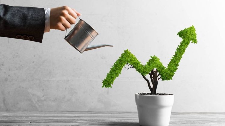 Epargne retraite : la « néobanque » verte Green-Got lance son PER