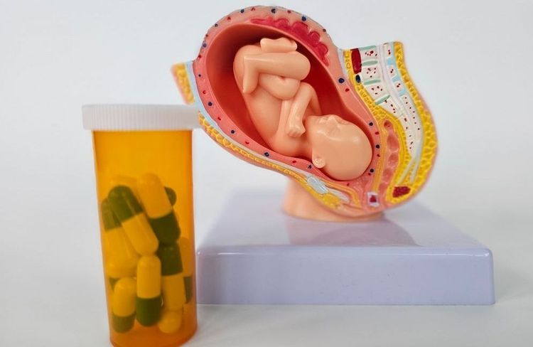 Placentophagie : placenta au menu, effet de mode ou vrai risque pour la santé ?