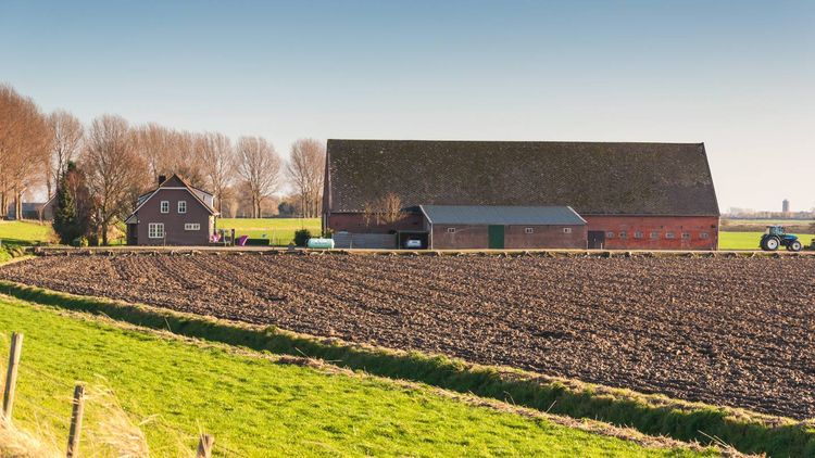 Placement : ces départements où le foncier agricole rapporte toujours plus que le Livret A