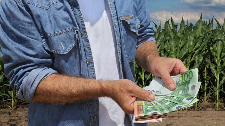 « 41,7% des ménages ont une assurance vie » et ce placement cartonne chez les agriculteurs