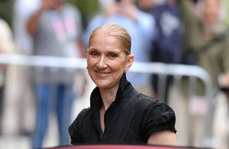 Céline Dion et Omar Sy réunis au cinéma pour un nouveau projet