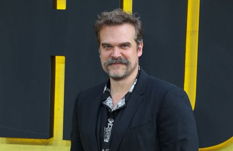 Harcèlement, révélations choc de Lily Allen : David Harbour de « Stranger Things » est dans la tourmente