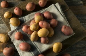 Quelle pomme de terre pour quelle recette ?