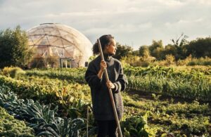 Que faire au jardin en décembre ?