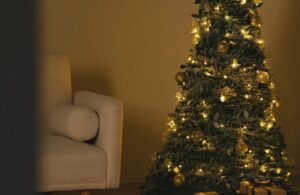 Que faire de son sapin après noël ?