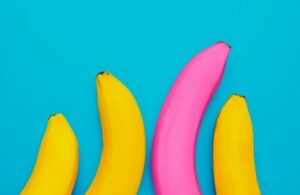 Le clitoris masculin existe-t-il vraiment ?