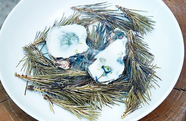 Peut-on cuisiner son sapin de Noël ?