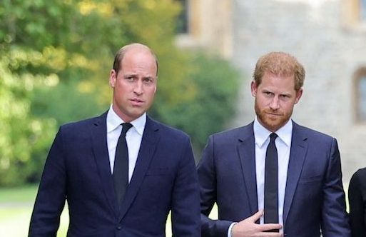 Les princes Harry et William en deuil : leur ancien garde du corps est décédé