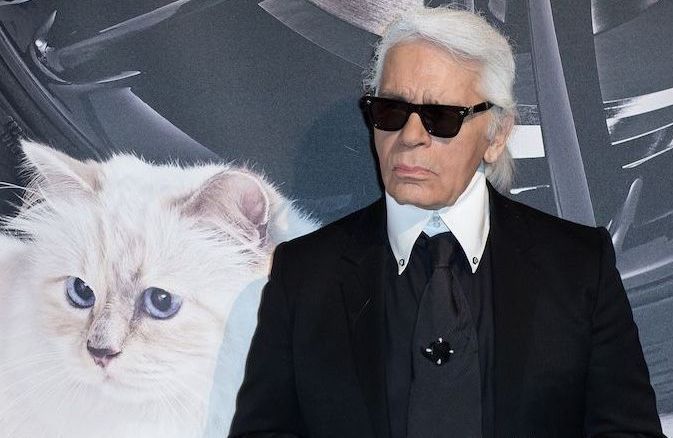 Choupette, l’héritière la plus célèbre de la mode ? La chatte de Karl Lagerfeld au cœur d’une controverse financière