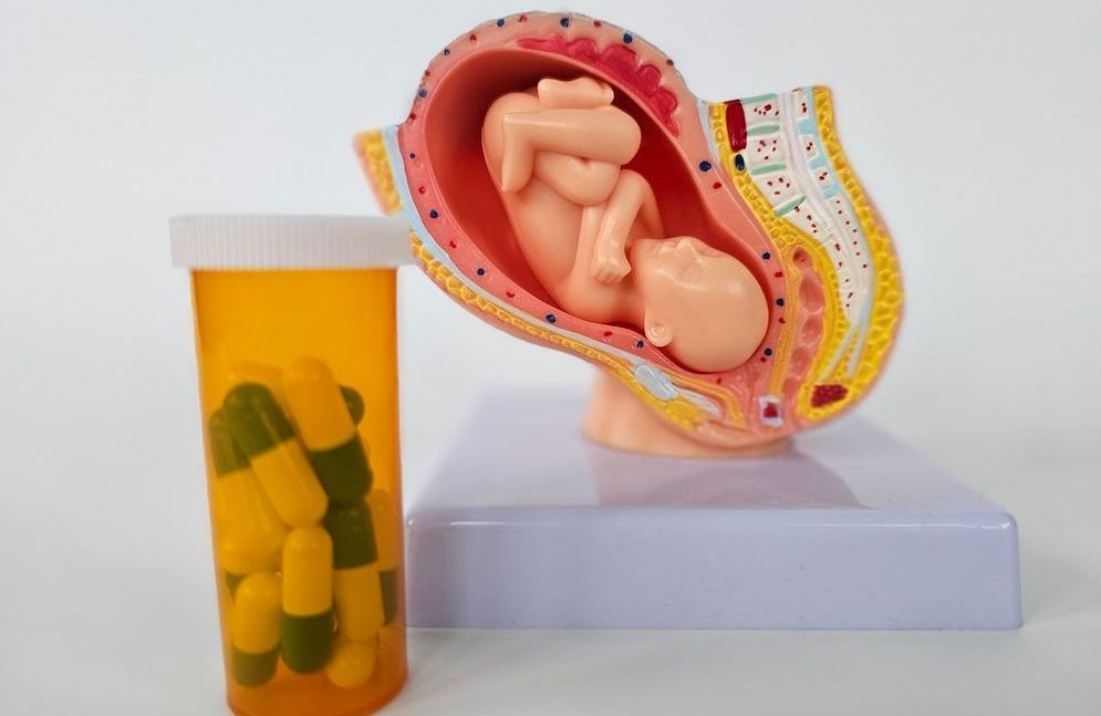 Placentophagie : placenta au menu, effet de mode ou vrai risque pour la santé ?