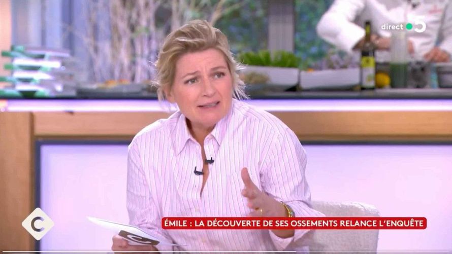 "C’est un hasard troublant" : ce détail de l’affaire Émile qui rend Anne-Elisabeth Lemoine très méfiante