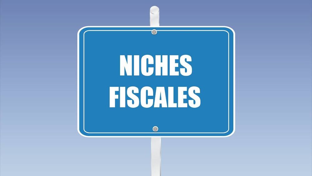 Impôts : carburant, frais de scolarité... Ces 23 niches fiscales sont sur la sellette, allez-vous y perdre ?