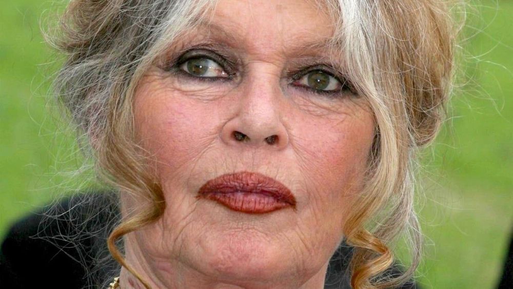 "Saignés à vif" : en plein Ramadan, Brigitte Bardot s'indigne sur cette pratique