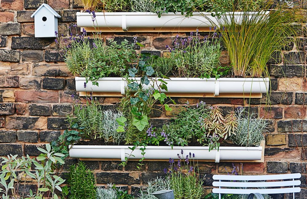 DIY : créer facilement un jardin suspendu à partir de simples gouttières