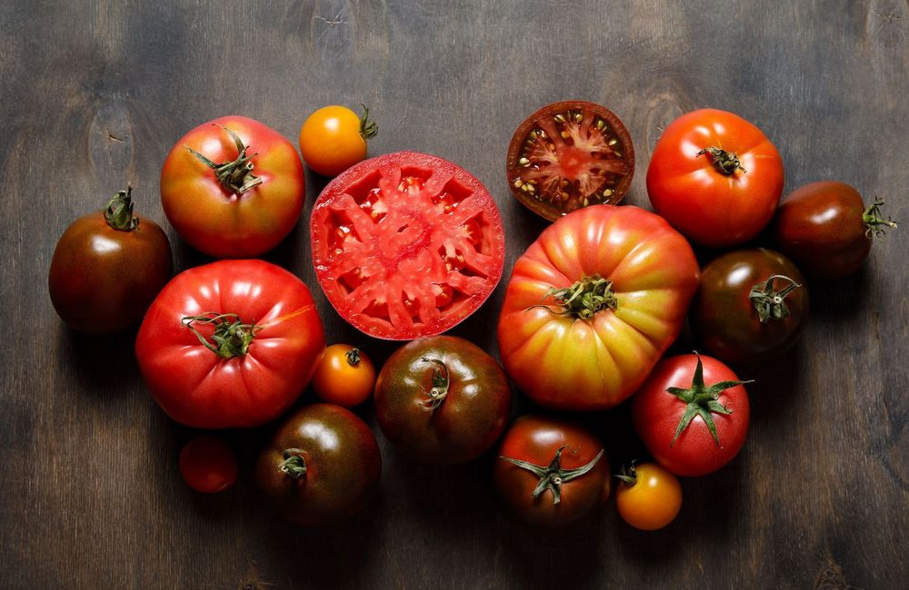 Voici pourquoi il ne faut pas conserver la tomate au frigo