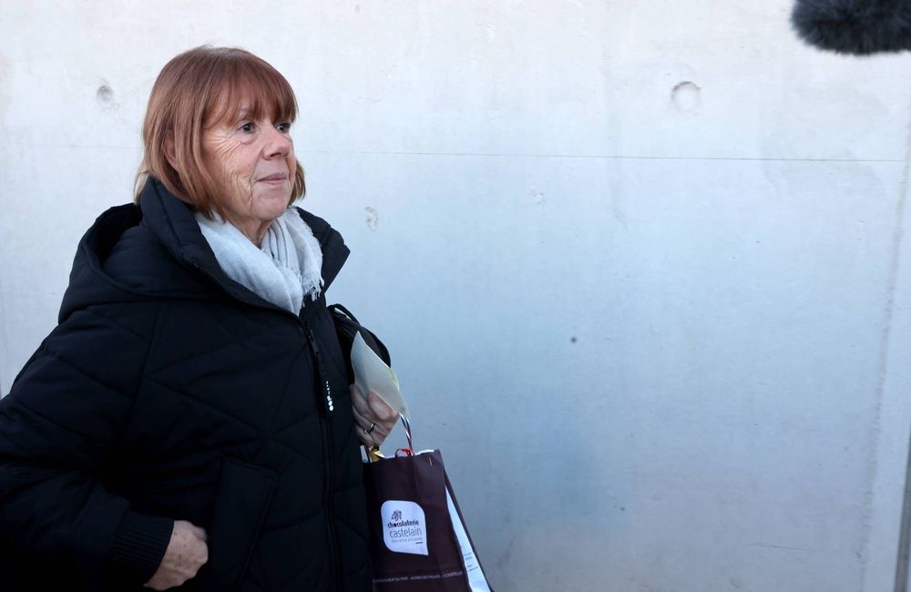 Procès en appel des viols de Mazan : face à Gisèle Pelicot, qui est Husamettin Dogan, le seul accusé rejugé ?