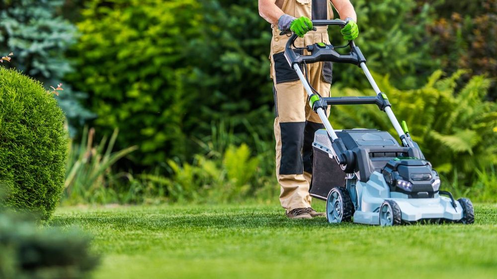 Impôt 2024 : si vous avez un jardin, cette case sur la déclaration de revenus peut vous rapporter gros