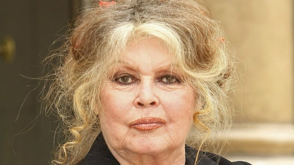 Brigitte Bardot et la chirurgie esthétique : "Toujours impeccable", la vérité vraie sur sa plastique et les spéculations