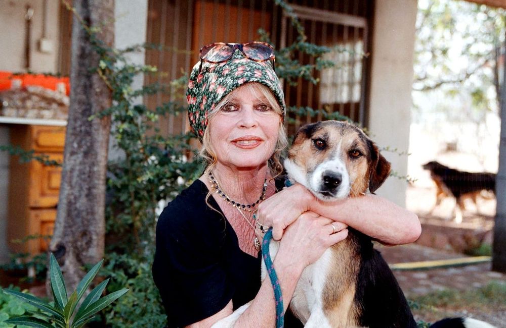 Brigitte Bardot : Bernard d’Ormale évoque le fils unique de la star, Nicolas, qu’elle « n’a jamais refusé d’élever »