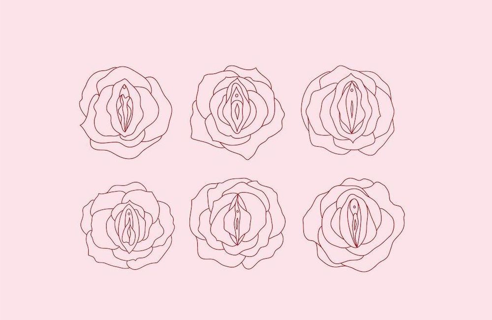 « Vulve », « pubis », « minou » : ce que révèle sur vous le surnom que vous donnez à vos parties intimes