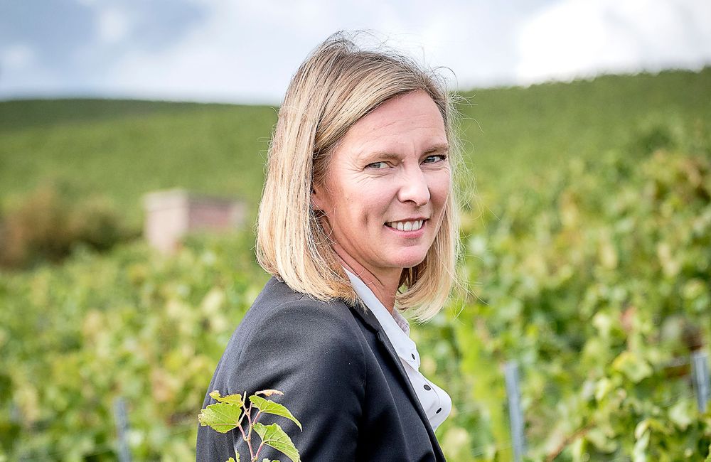 Elles font le vin : Caroline Latrive, cheffe de cave de la maison Deutz