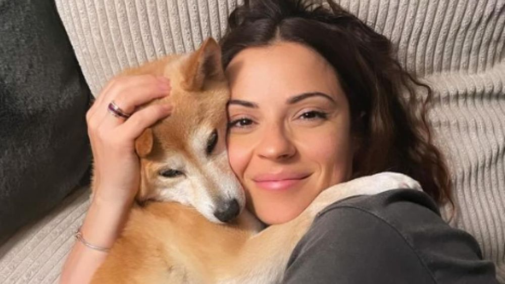 Denitsa Ikonomova (DALS) : enceinte de son premier enfant, l'identité du papa enfin dévoilé et vous le connaissez tous !