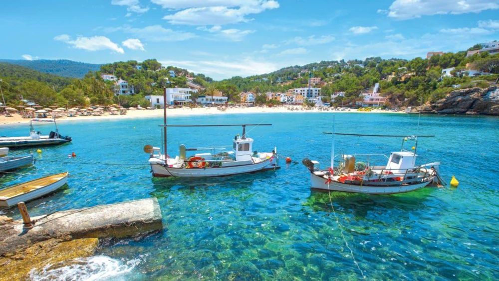 Vacances de l’horreur à Ibiza : un touriste amputé de trois doigts, cette morsure d’insecte lui a été fatale !