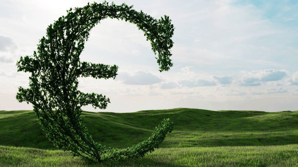 Assurance vie : où est investie votre épargne ?