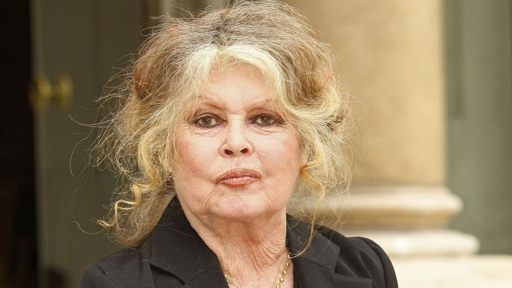 Brigitte Bardot condamnée par la justice : "Je finis toujours par..."