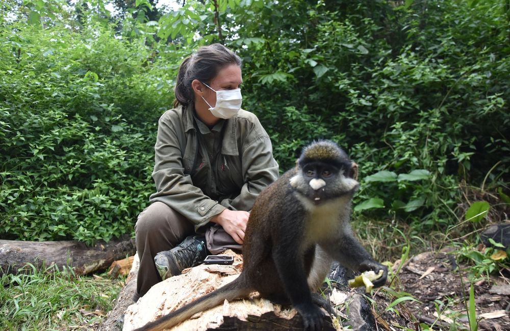 Défier le braconnage : le quotidien d’Amandine Renaud, primatologue en République démocratique du Congo