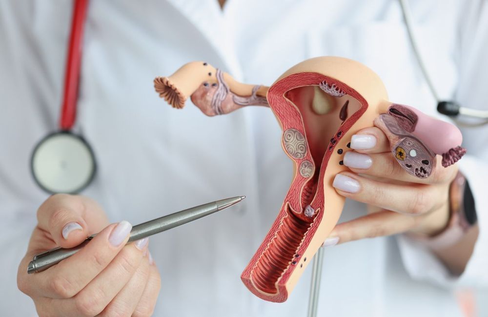 Ce que l'âge des premières règles peut dire de votre santé future
