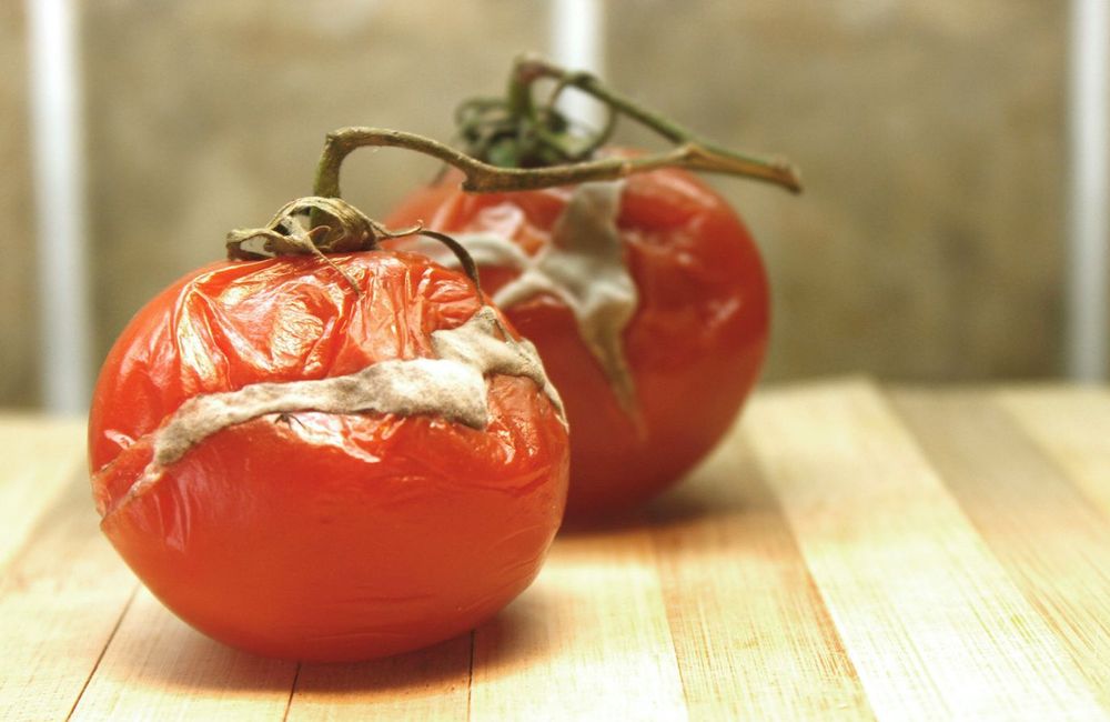 Voici comment donner une seconde vie aux légumes flétris