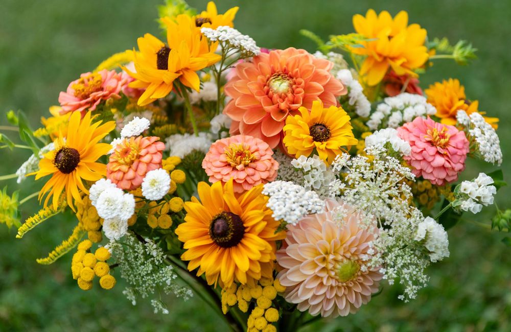 6 plantes aux couleurs chaudes pour l’automne