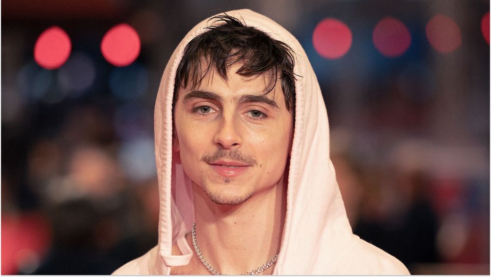 "Personne n'en a rien à faire" : Timothée Chalamet s’attire les foudres après ses propos sur l’opéra et les ballets