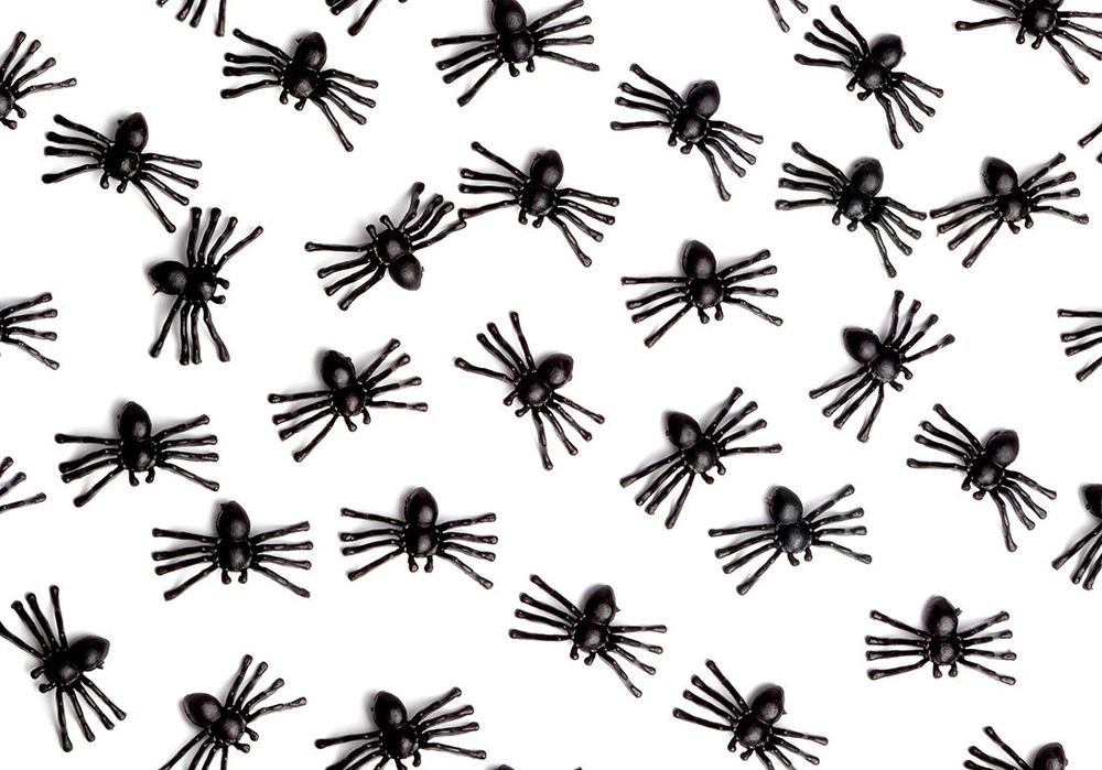 Pourquoi rêve-t-on d'araignées, de fourmis ou de moustiques ? Notre interprétation
