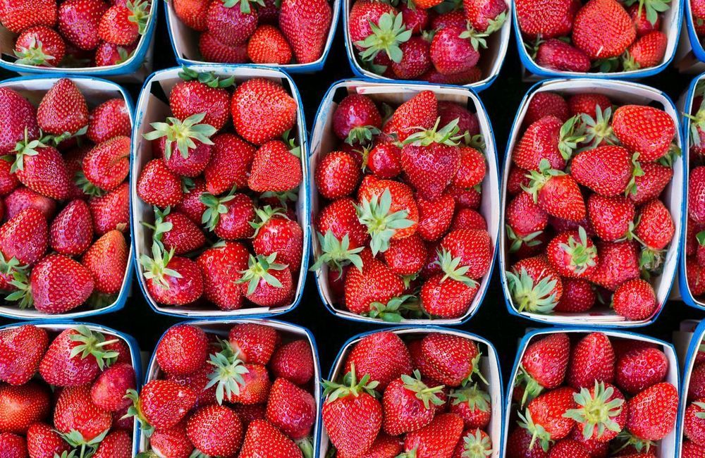 Voici la meilleure façon de conserver les fraises
