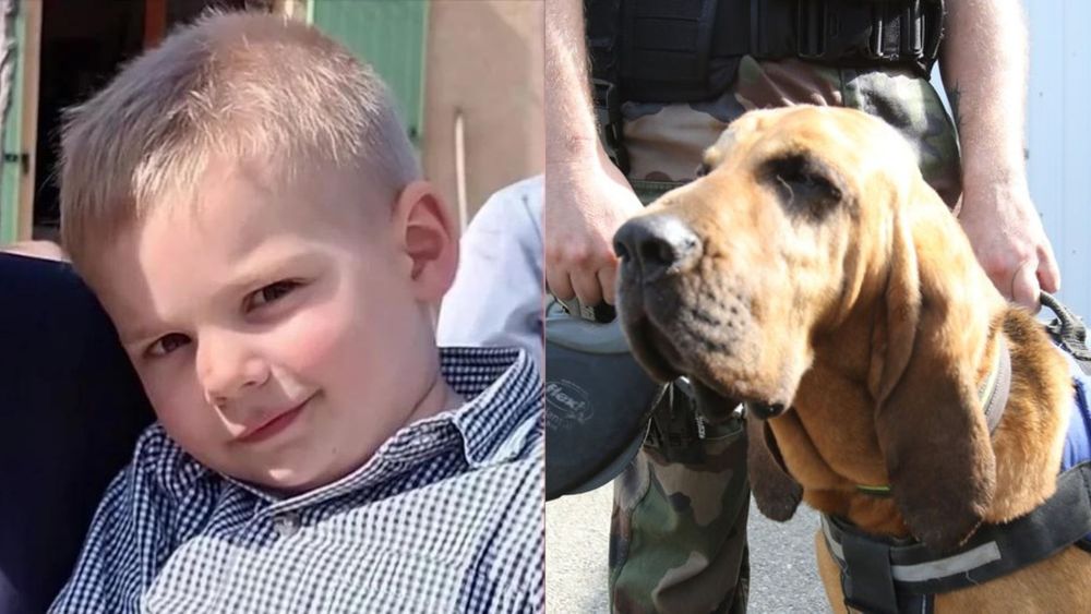 Mort du petit Émile : on vous explique comment les chiens ont pu passer à côté du corps